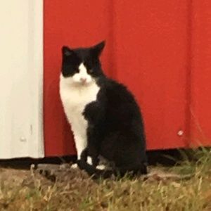 Meet your Posher, Kodi